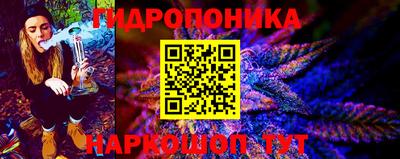 наркотики Камышлов