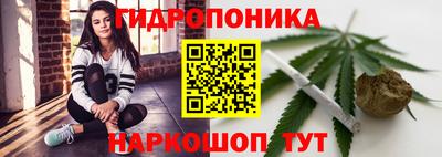 прущие крисы Канаш