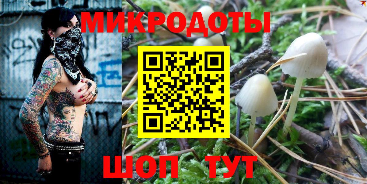 Галлюциногенные грибы Psilocybine cubensis Петропавловск-Камчатский