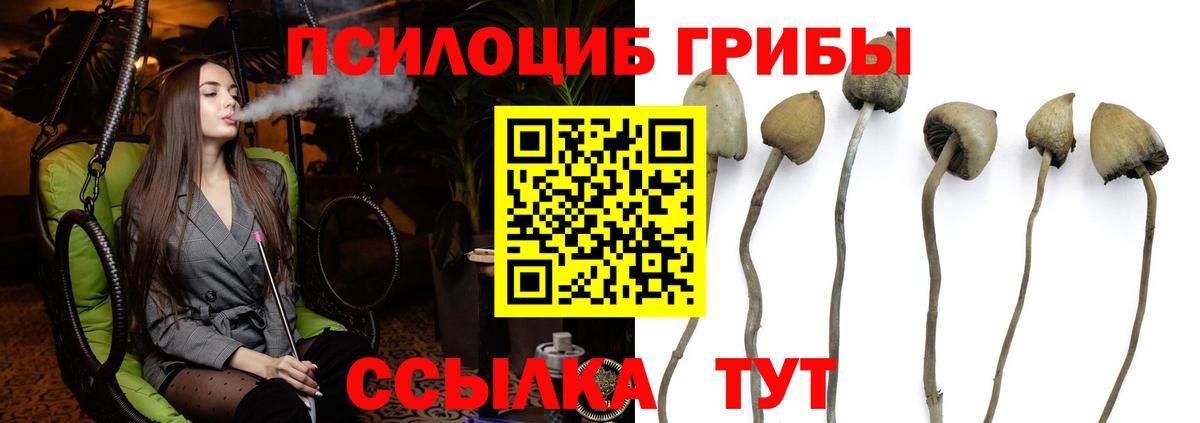 цены наркотик  Псилоцибиновые грибы Psilocybe  Вход с VPN  Петропавловск-Камчатский 